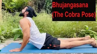 Step By Step Bhujangasana or Cobra Pose | Indian Yoga With Krishna | Yoga