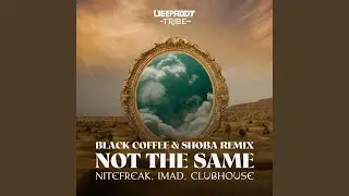 Not The Same (Black Coffee feat. Shoba Remix)