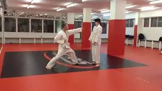 Jiu Jitsu Prüfung weiß gelb