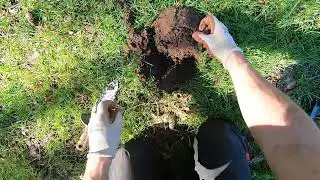 LIVE DIG ACTION!! XP Deus 2 at the park.