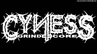 Cyness - Gro&szlig;es Transpi - nichts dahinter