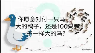 进化奖励牺牲自身的蚂蚁/黑洞附近究竟发生了什么/AI发现人类眼中混乱的简单