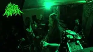 The Seaford Monster - Not Pure Sniff (Live at '303') [1080p]