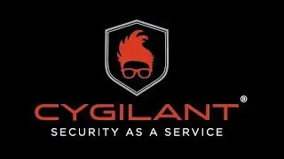 Cygilant Vulnerability and Patch Management