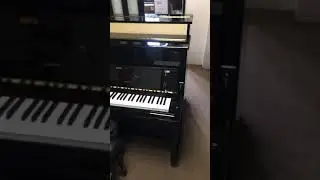 Little & Lampert Pianos Ernst Krause KC 112