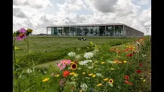 Beemster&reg; kaas: Het bijenlint bloeit!