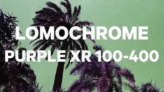 NIKON F100 + Lomochrome PURPLE (Dispara Carrete EP13)