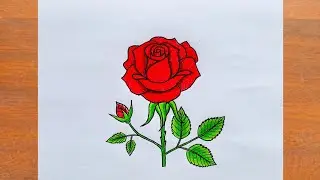 Rose Drawing / How to Draw a Rose Step by Step Very Easy / Rose Flower Drawing / Flower Drawing