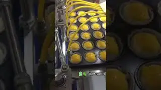 Automatic Cake Production Line|Cake Manufacturing Machine