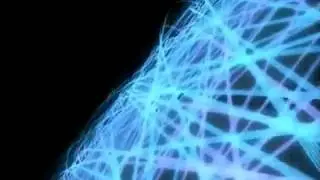 Anonymus - Was ist DDos und wie funktioniert es