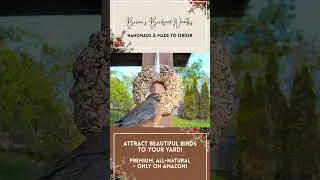 Brian's Birdseed Wreath: Unboxing Happiness!