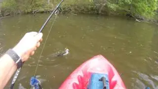 Little Spring Bass Wye Mills Community Lake