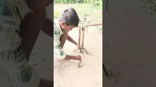 ##birds ##farming ##bambootrap ##squirrel ##experiment ##animals ##giantbambooshoots ##funny ##bambo