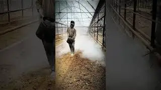 Secrets of soil fertility: Evenly Sowing Powder Fertilizer Technique! #AgriculturalInnovation