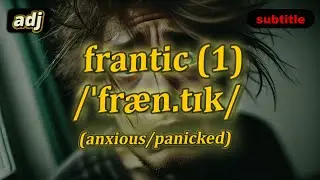[adj] Frantic meaning (anxious/panicked) with 5 examples