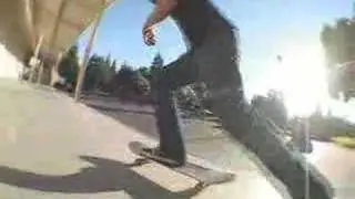 Turd Life- Steve Farrell