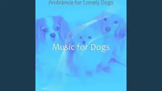 Romantic Ambience for Quiet Dogs