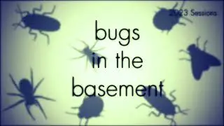 Bugs In The Basement- Lampronia Rubiella aka The Raspberry Bud Moth