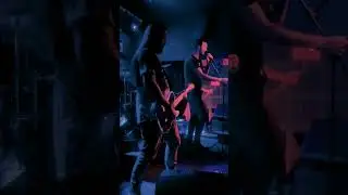 #once #pearljam #rock #guitarsolo #grunge #showtime #guitar #guitarist #guitarmusic #fender