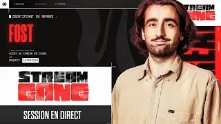 Stream Gang - Dernier stream de l'année pour Fost !