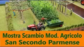 Mostra Scambio Modellismo Agricolo - San Secondo Parmense