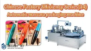 No Human Touch: Inside a 24/7 Battery Packaging Machine