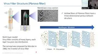 Mechanistic Modeling in Virus Filtration