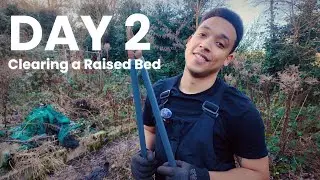 Day 2 on the Allotment | Finding My Feet