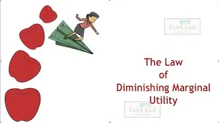 The Law of Diminishing Marginal Utility | Microeconomics | Management