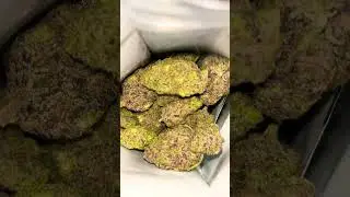 Arete thca flower. Miracle alien cookies 👽🍪🌲.  