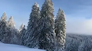 G&eacute;rardmer - Le Loup - Piste Rouge - Vosges - D&eacute;cembre 2024