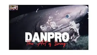 The Whale's Final Gift  Life After Death in the Deep Sea#travel#documentary#shortfilm