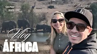 &Aacute;frica do Sul 🇿🇦- Vlog de viagem Safari no Milima vendo os Big five