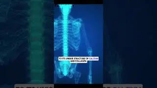 Your Bones 🦴 Are Stronger Than Steel 🛠️ | Mind-Blowing Science Fact! 🧠⚡
