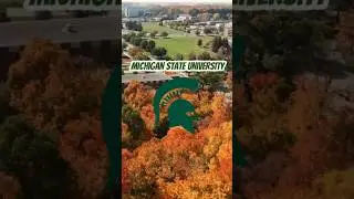 Highest Paying Majors at Michigan State University!
