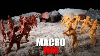 macro war