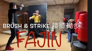 Tai Chi 1 move. no:3 Move with Fajin (Fajing) 發勁 Brush & Strike 搂膝拗步 by  Master Jimmy Wong