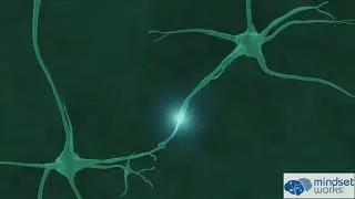 Malleable Brain Animation for BY2  Mindset Works, Inc  copy