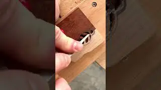 Wooden Leaf Pendant | Combining Ash & Mahogany