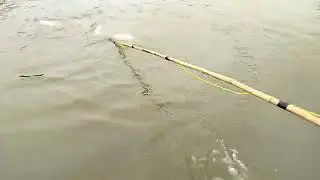 thực tế tr&ecirc;n s&ocirc;ng k&iacute;ch c&aacute; tz30000 n&acirc;ng cấp r&ocirc; phi h&uacute;t vợt mạnh qu&aacute; trời LH 0362921480