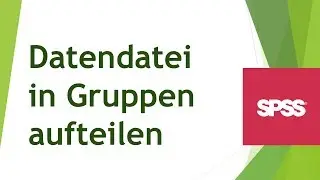 Datendatei in SPSS aufteilen und gruppenweise auswerten