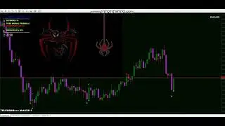 Spiderman Pro V1 indicator Forex and Binary option | MT4 Non repaint indicator ✅ No Martangle