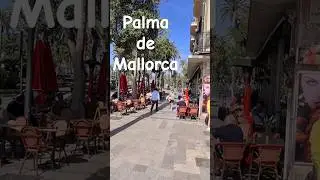 Palma de Mallorca 🌴 Spain 🇪🇸