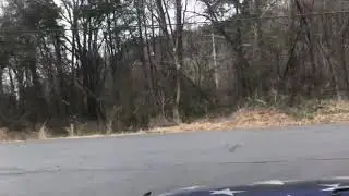 Driver extricated from entrapment collision on Mill Creek Road