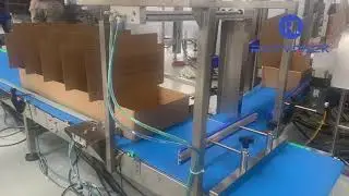 Automated Counting, Weighing & Cartoning System | High-Speed Packaging Solution