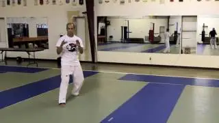 Master Richard Tai Chi Lesson 01