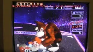 Super Smash Bros Melee All Burial Animations