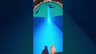 Waterslide into pool full of hungry great whites watch closely #sharks #adventure #wildlife