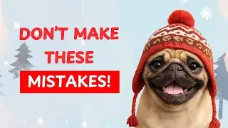 7 Common Winter Care Mistakes Dog Owners Don&rsquo;t Realize They&rsquo;re Making
