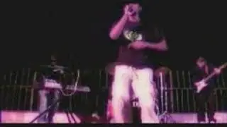 Area 313-Show me what you got
